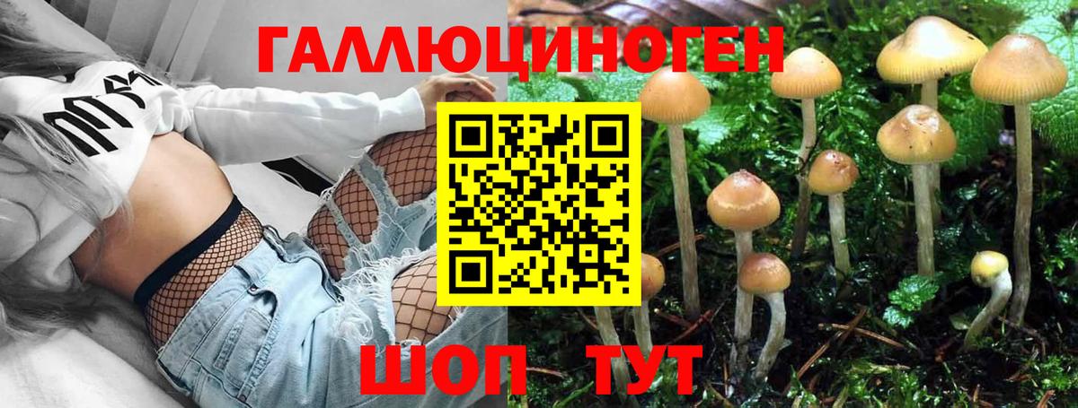 Якутск  Псилоцибиновые грибы Magic Shrooms  Вход с VPN 